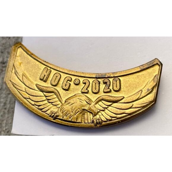 Harley Davidson HOG Pin 2020 - Picture 1 of 10